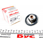 Термостат Renault Master II/Trafic 2.5-2.8D/TD/dTI 89-01 (79°C) 