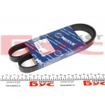 Ремінь генератора Renault Master 2.5dCi (-AC) (6PK1145) 