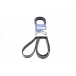 Ремінь генератора Hyundai Santa Fe/Kia Sorento 2.0-2.2CRDi 09-(6PK2498) 