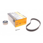 Комплект ГРМ Audi A4/A5/A6/Q7/VW Touareg 3.0 V6 TDI 04-10 (24x83z) 