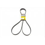 Ремінь генератора VW Crafter 2.5TDI 06-13 