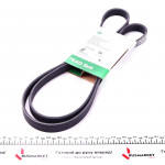 Ремінь генератора VW LT 2.5TDI 96-01/Peugeot Expert 1.9D/2.0HDI 98- 