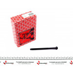 Болти головки (к-кт 10шт.) Ford Fiesta 1.0/1.3/1.6i 96- 