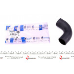 Патрубок інтеркулера (верхній) Ford Focus II 1.6TDCi/1.8TDCi 03-12 