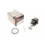 Опора кульова (передня/знизу) Ford Ranger 99-12 