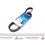 Ремінь генератора Hyundai i30 1.4i 07-12 (6PK1255) 