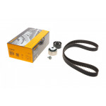 Комплект ГРМ Citroen Berlingo/Jumpy/Peugeot Expert/Partner/Fiat Scudo 1.9D 98-15 (25x140z) 