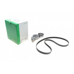 Комплект ременя генератора VW Passat 96-05 (5PK1300) 