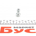 Болт Banjo (банжо) M10x1.5mm (11x28.1) 