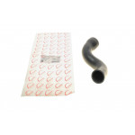 Патрубок інтеркулера Renault Megane III 1.5 dCi 08- 