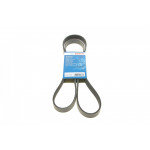 Ремінь генератора Ford Escort 91- (6PK1650) 