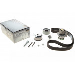 Комплект ГРМ + помпа Skoda Octavia/VW Passat 2.0 TDI 04-13 (помпа P551) 