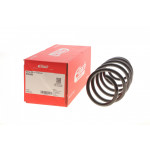 Пружина (передня) Citroen Nemo 1,3/1.4 HDi 08- (мінівен) 