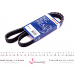 Ремінь генератора Fiat Scudo/Citroen Berlingo 1.9D/TD 96- (PS,-AC) (6PK1110) 