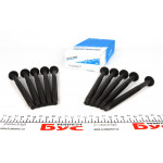 Болти головки (к-кт 10шт.) Citroen Berlingo 1.6HDI/Nemo 1.4HDI 