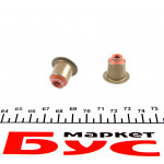 Сальник клапана (впуск/випуск) BMW X5/X6 3.0/3.5 d 03-14 (6x11.5/22.3/19.5) 