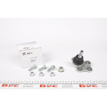 Опора кульова (передня/знизу) Dacia Duster/Renault Duster 10- 