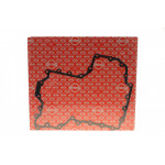 Прокладка піддону BMW X5 50i xDrive 10-/X6 50i 08- 