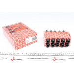 Болти головки (к-кт 10шт.) MB Sprinter 901-904/Vito (W638) 96-06 