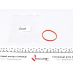 Прокладка дросельної заслонки Audi A3/A4/A6/Skoda Octavia/VW Golf V 2.0D 04- 