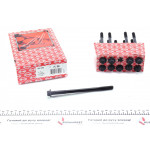 Болти головки (к-кт 10шт.) Daewoo Lanos/Nubira/Lacetti 1.4i-1.6i 16V 97- (M10x1.25x166) 