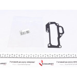 Прокладка турбіни Audi A4/A5/A6/A7/A8/Q5/Q7/VW Touareg/Porsche Panamera/Macan 3.0D 07- 