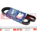 Ремінь генератора Citroen Berlingo 1.6HDI 05-/Fiat Ducato/Doblo 2.0D 10-/Scudo 1.6D 07- (6PK1705) 