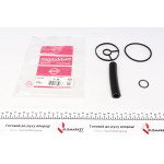 Прокладка радіатора масляного Citroen Jumpy/Fiat Scudo/Peugeot Expert 2.0 HDI 09- (к-кт) 