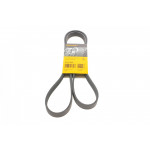 Ремінь генератора Skoda Octavia 1.4/1.6 96-10/BMW 5 (E60)/7 (E65/E66/E67)/X5 (E53) 4.4/4.8 01-09 