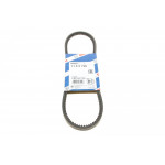 Ремінь генератора Audi 100/200/VW Caddy II/Golf III/IV/Passat/Sharan -04 (11.5x790) 