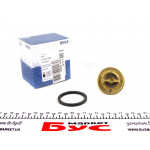 Термостат Renault Master/Trafic 2.4/2.5 D/DTI 89- 