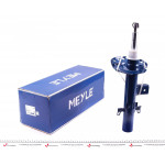 Амортизатор (задній) Land Rover Freelander 06-14 (L) 