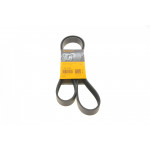 Ремінь генератора Renault Kangoo/Megane III/Scenic III 1.2TCe 12- 