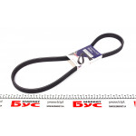 Ремінь генератора VW T5 1.9TDI/VW Caddy 1.9/2.0TDI (6DPK1215) 