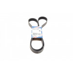 Ремінь генератора BMW 5 (F10/F11)/X3 (F25) 2.5/3.0i 09-13 (N52/N53) (8PK1786) 