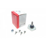 Опора кульова (передня/знизу) Fiat Ducato/Peugeot Boxer (1.8t) 02-06 