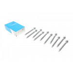 Болти головки (к-кт 10шт.) Citroen Berlingo 2.0HDI 99-06 