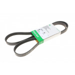 Ремінь генератора VW Touran (1T1, 1T2) 1.4TSI/EcoFuel, 06-10, (+AC) 