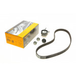 Комплект ГРМ Mazda 2/Ford Fiesta/Focus/Volvo S40/V50 1.25i-1.6 16V 95- (22x117z) 