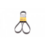 Ремінь генератора Renault Master/Nissan NT400 2.3 dCi 14-/Honda Accord/CR-V 2.4 03- 