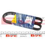 Ремінь генератора Renault Kangoo 1.4i 97-/ 1.6i 01- (5PK1110) 