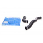 Патрубок інтеркулера Dacia Duster/Logan 1.5dCi 07- (к-кт 2 шт) 