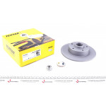 Диск гальмівний (задній) Renault Megane III/Scenic III 08- (260x8) (+ABS) PRO 