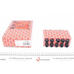 Болти головки (к-кт 10шт.) Audi A2/Seat Leon/VW Polo/Bora 1.6FSI 98-06 