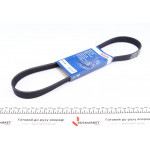 Ремінь генератора VW Golf III/IV/Bora/Octavia 1.9TDI/SDI (6PK906) 