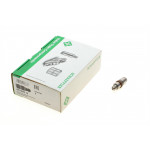 Гідрокомпенсатор Opel Vivaro 2.0 16V/Renault Kangoo 1.6 16V/Trafic 2.0 16V 01-, K4M/F4R/K4J 