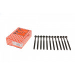 Болти головки (к-кт 12шт.) Volvo C30/S40/S60/S80/V50/V70/XC60/XC70/XC90 2.4 D5 01-14 