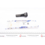 Сайлентблок балки (передньої) Nissan Qashqai 07- 