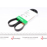 Ремінь генератора Renault Kangoo 1.9dTi/dCi 01- 