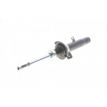 Амортизатор (передній) Citroen C2/ C3 02-/ Peugeot 1007 05- (L) 